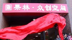 云南首個文化創(chuàng)意產業(yè)“果林·眾創(chuàng)空間”在經開區(qū)揭牌