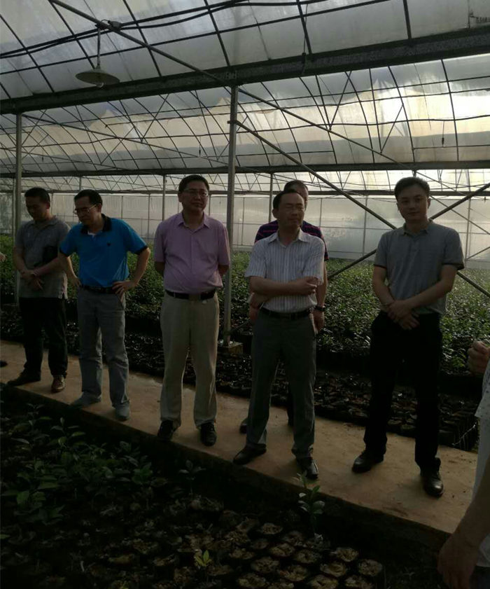 園區(qū)企業(yè)走訪調研 院長李文輝在湖南宜章經開區(qū)及農業(yè)科技園進行調研