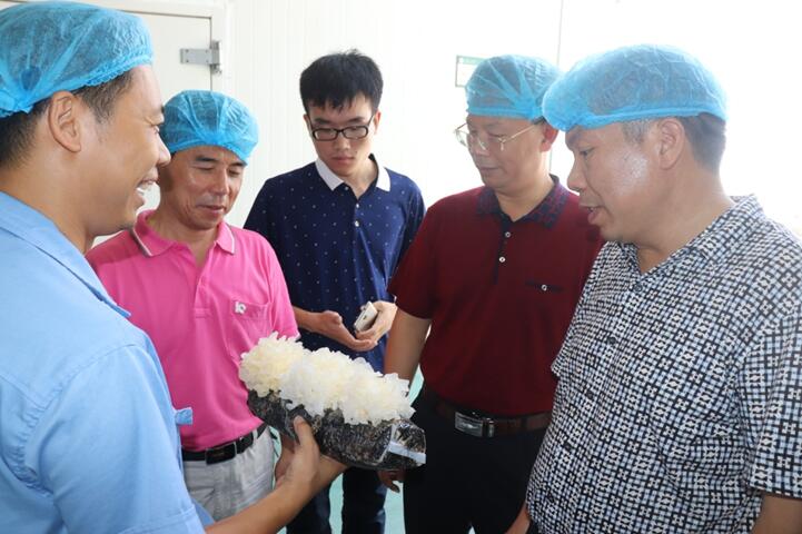 “湘軍故里，鋼鐵新城”我院助力婁底市開啟創(chuàng)新發(fā)展新篇章