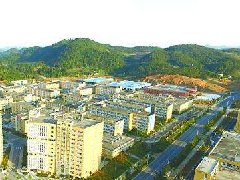 中山：加快建設(shè)東升脆肉鯇、橫欄花木省級(jí)現(xiàn)代農(nóng)業(yè)產(chǎn)業(yè)園