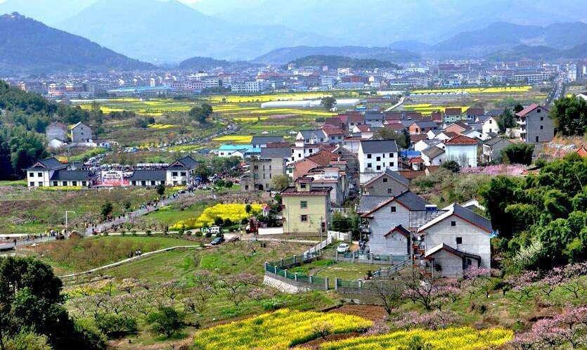 馬曉河 涂圣偉:實(shí)現(xiàn)農(nóng)民富、農(nóng)業(yè)強(qiáng)、農(nóng)村美的路線圖