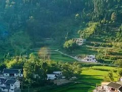 2020年沙市區(qū)紡織服裝產(chǎn)業(yè)集群工作推進(jìn)會召開