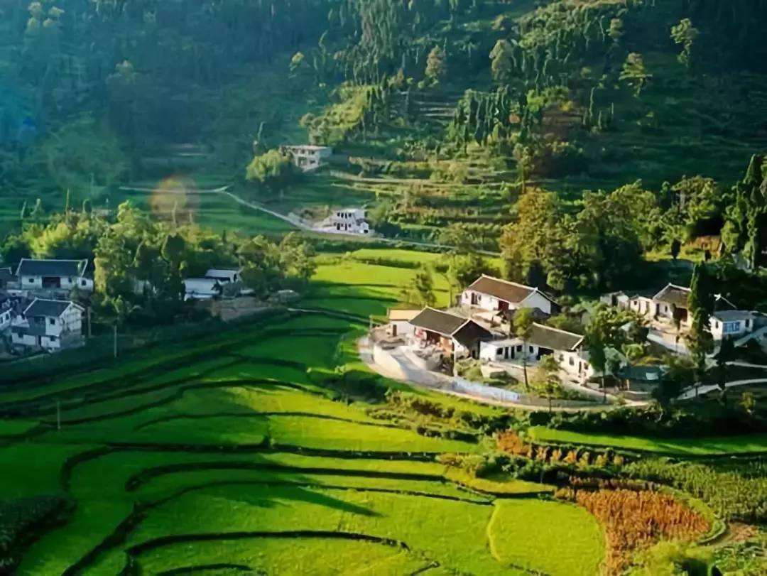 成都高新區(qū)發(fā)布網(wǎng)絡(luò)視聽產(chǎn)業(yè)規(guī)劃