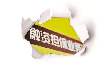 國務(wù)院關(guān)于促進融資擔保行業(yè)加快發(fā)展的意見