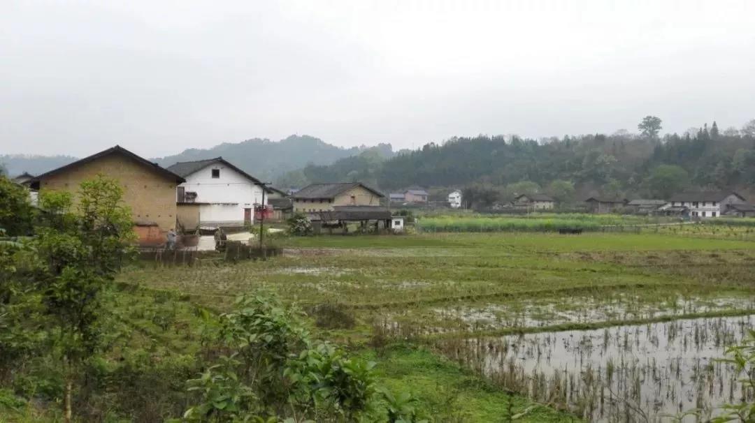 農(nóng)村土地確權(quán)結(jié)束，沒登記的四荒地如何處理？