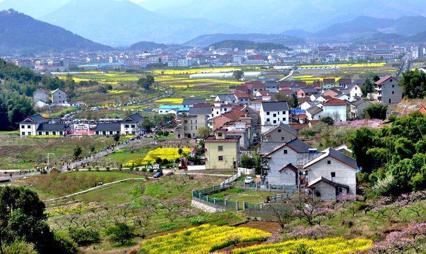 陳文勝：鄉(xiāng)村振興的資本、土地與制度邏輯