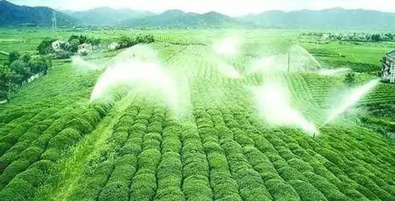 重磅！2019中央一號文件即將發(fā)布！大農(nóng)業(yè)領(lǐng)域迎來新機(jī)遇