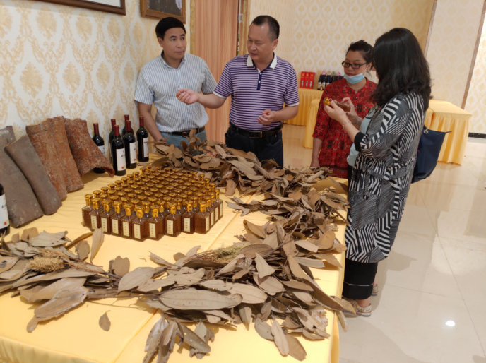 龔州大地，龍眼飄香-平南現(xiàn)代農(nóng)業(yè)正釋放科技創(chuàng)新活力