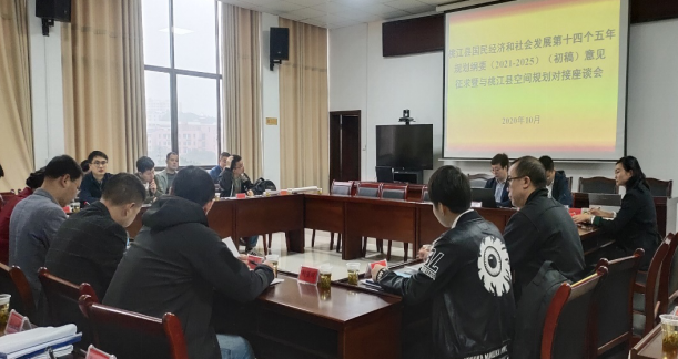 集聚頭腦風(fēng)暴，為高質(zhì)量編制桃江“十四五”規(guī)劃建言獻策