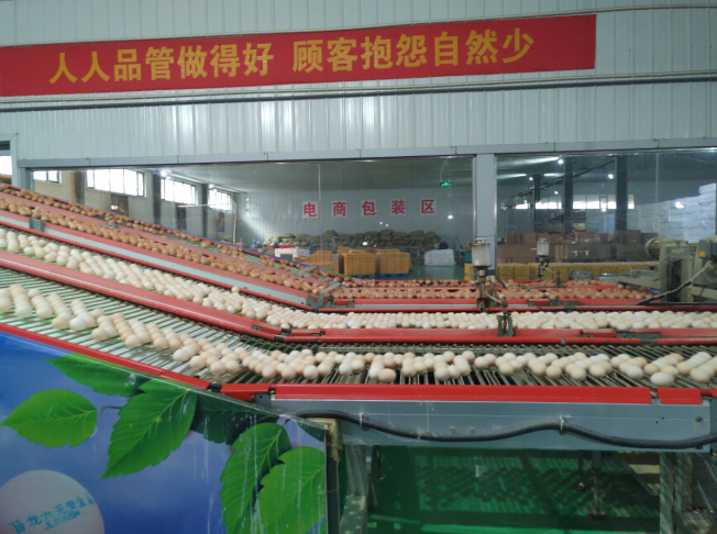 后稷故里，板棗之鄉(xiāng)——山西省稷山縣大力爭(zhēng)創(chuàng)國(guó)家現(xiàn)代農(nóng)業(yè)產(chǎn)業(yè)園