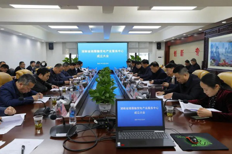湘雁輸變電產(chǎn)業(yè)服務(wù)中心在長沙成立，湖南輸變電產(chǎn)業(yè)開啟發(fā)展新篇章