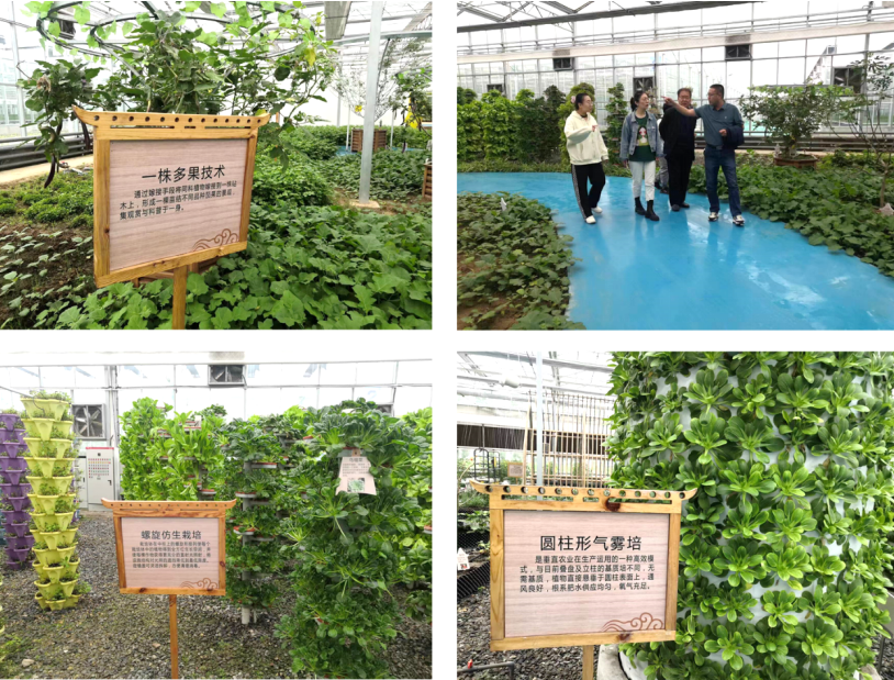 晉之源果蔬再啟航，曲沃開啟國家農業(yè)現代化示范區(qū)新征程