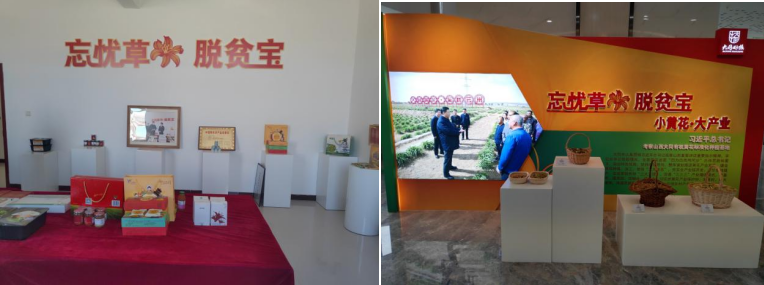 打造農業(yè)綠色發(fā)展典范，云州區(qū)創(chuàng)建國家農業(yè)綠色發(fā)展先行區(qū)勢在必行
